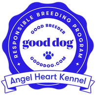 Angel Heart Kennel LLC - For Sale AKC German Shepherd ...